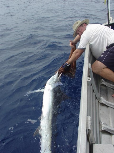 Steve's first Exmouth marlin - different angle